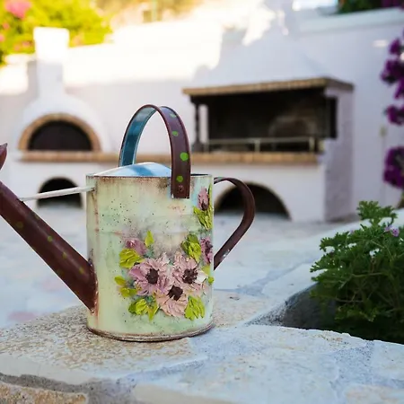 בית כפרי An Excellent Country House In Kefalonia *